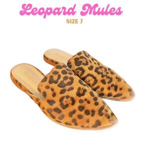Size 7 Slip On Leopard Mules